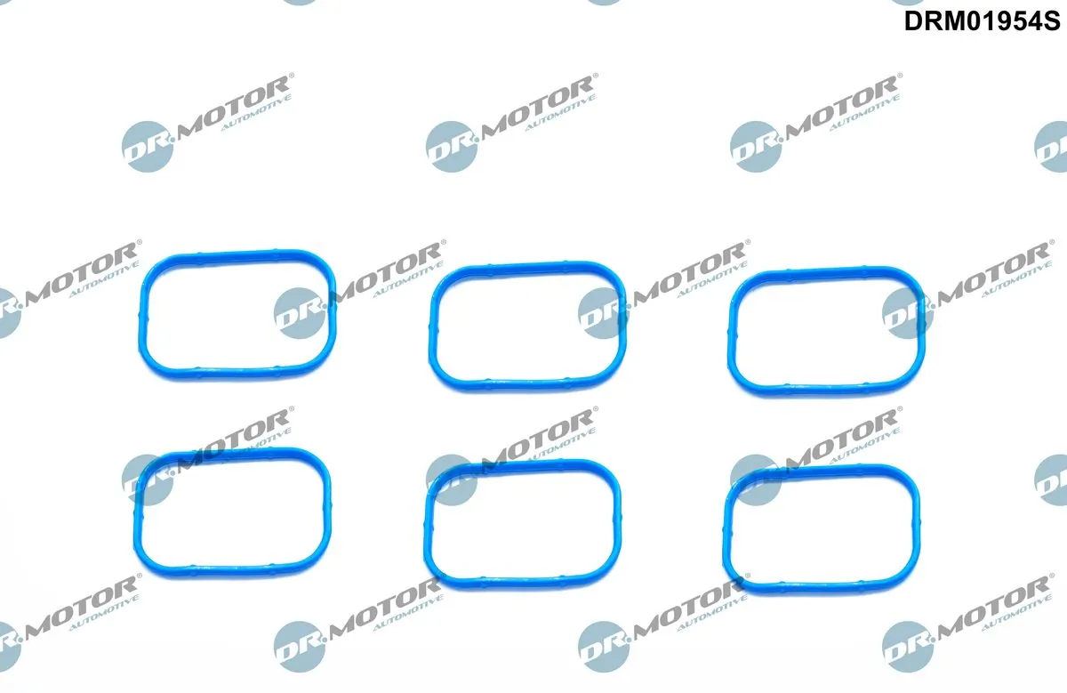 Gasket Set, intake manifold DRM01954S