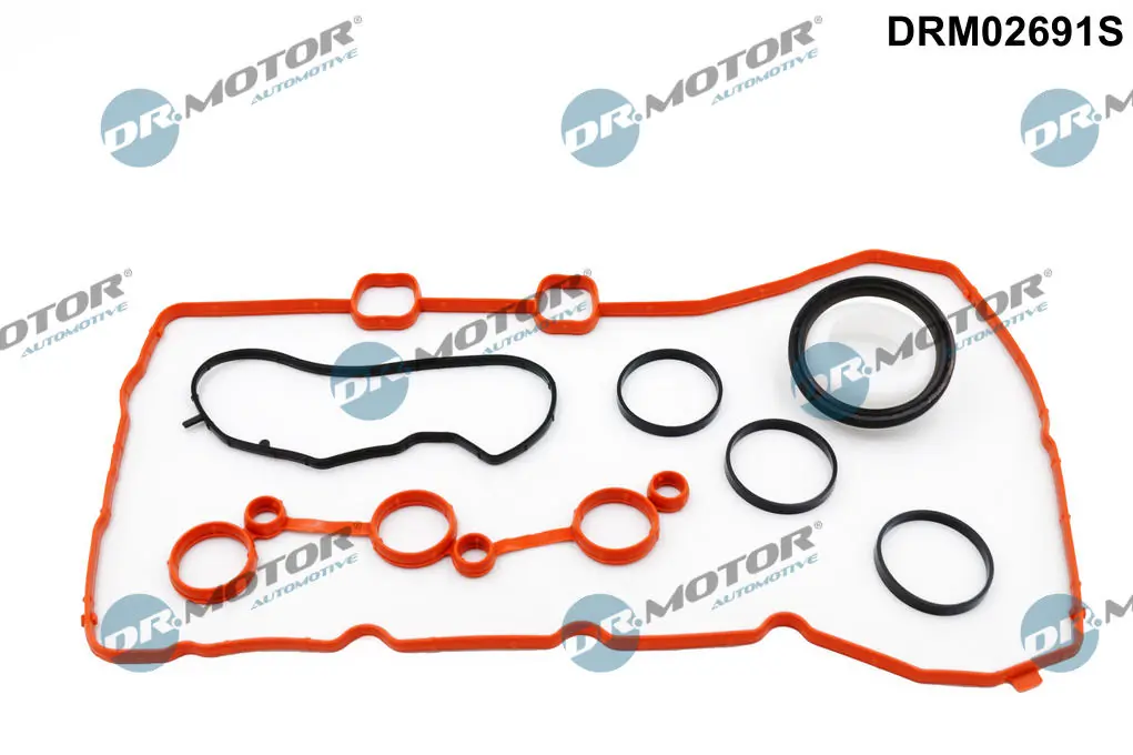 Gasket Kit, timing case DRM02691S