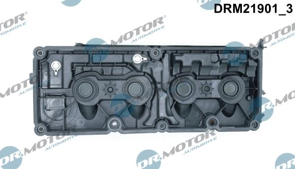 Cylinder Head Cover DRM21901