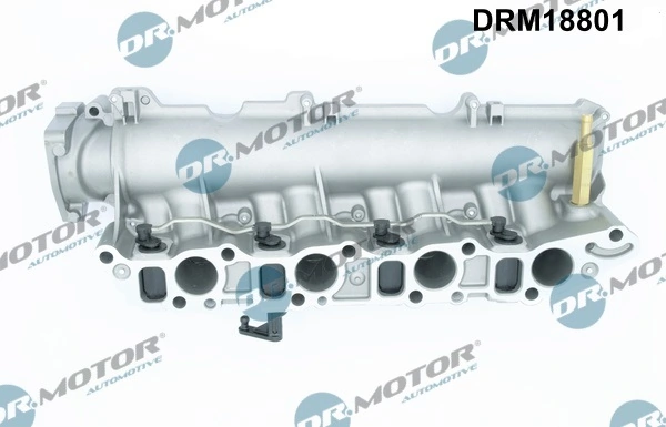 Intake Manifold Module DRM18801
