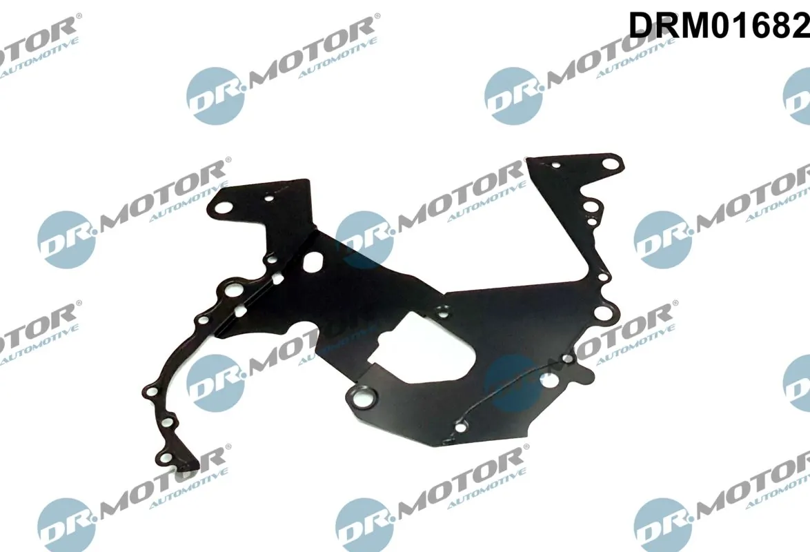Gasket, timing case DRM01682