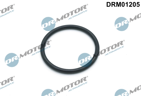 Dr.Motor Automotive DRM01205 Asli