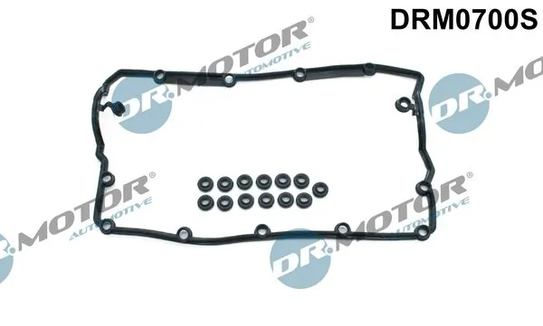 Gasket Set, cylinder head cover DRM0700S