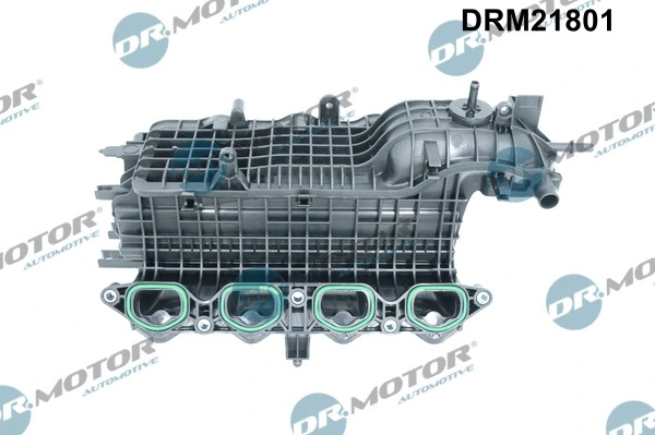 Intake Manifold Module DRM21801