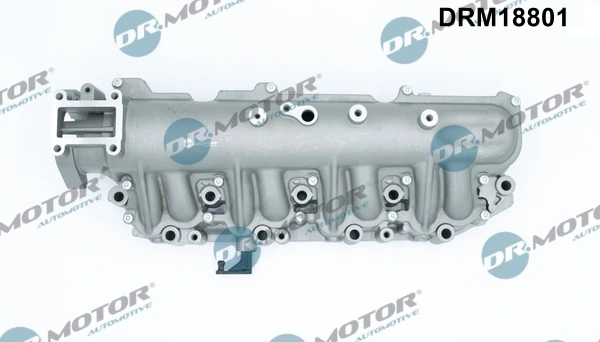 Intake Manifold Module DRM18801