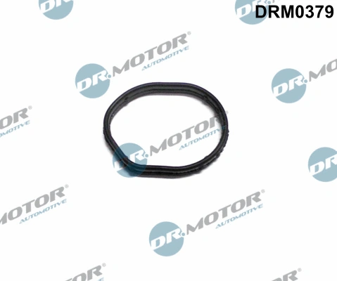 Gasket, timing case cover DRM0379