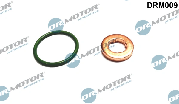 Seal Kit, injector nozzle DRM009