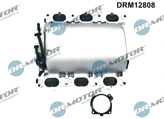 Intake Manifold Module DRM12808