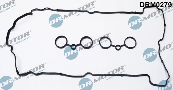 Gasket Set, cylinder head cover DRM0279