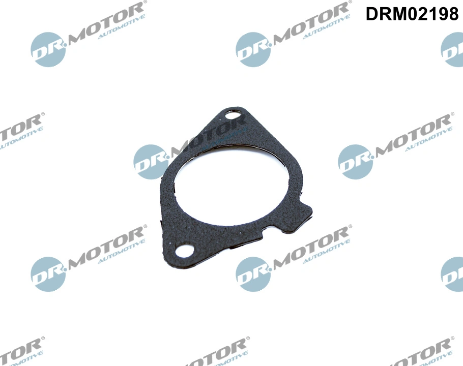 Gasket, EGR valve DRM02198