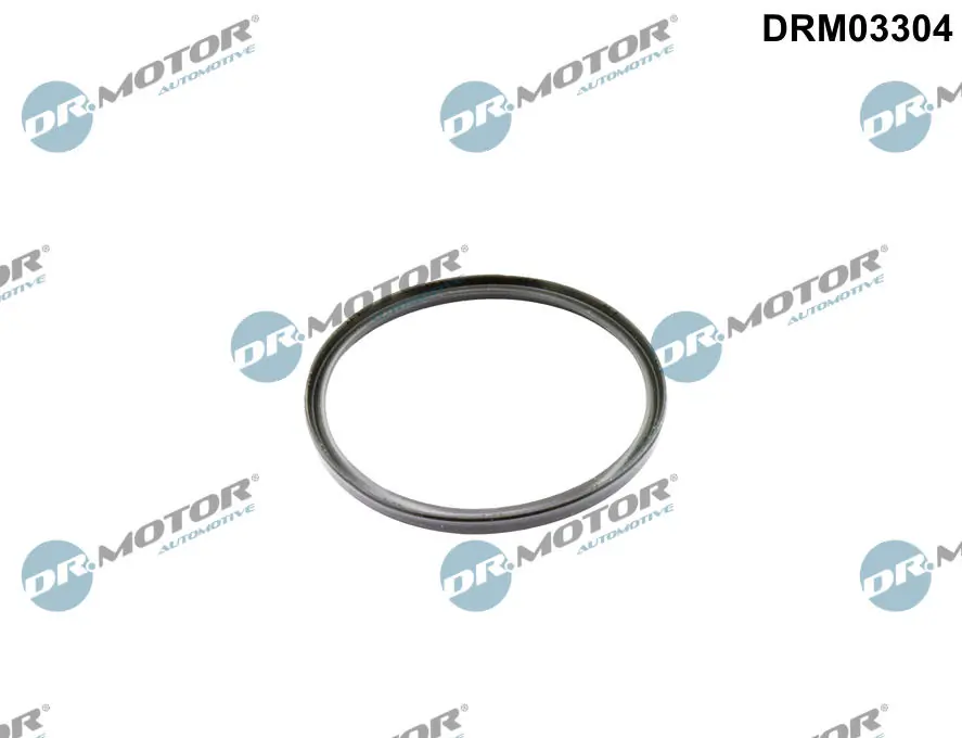 Seal Ring, charge air hose DRM03304