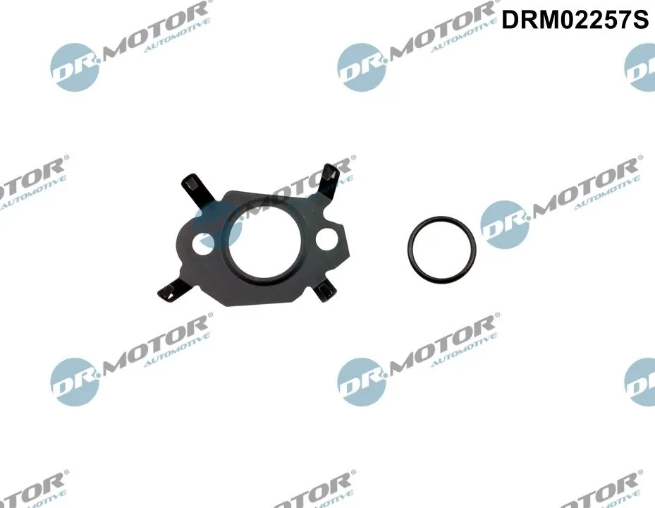 Gasket Set, EGR system DRM02257S