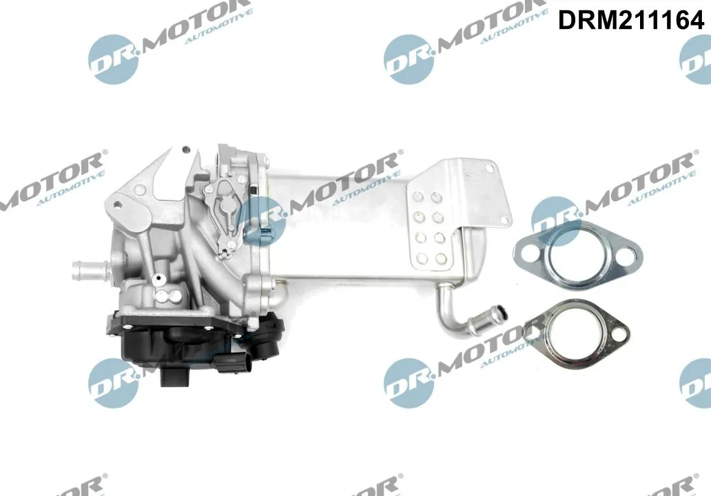 EGR Valve DRM211164