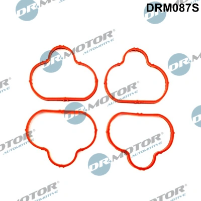 Gasket Set, intake manifold DRM087S