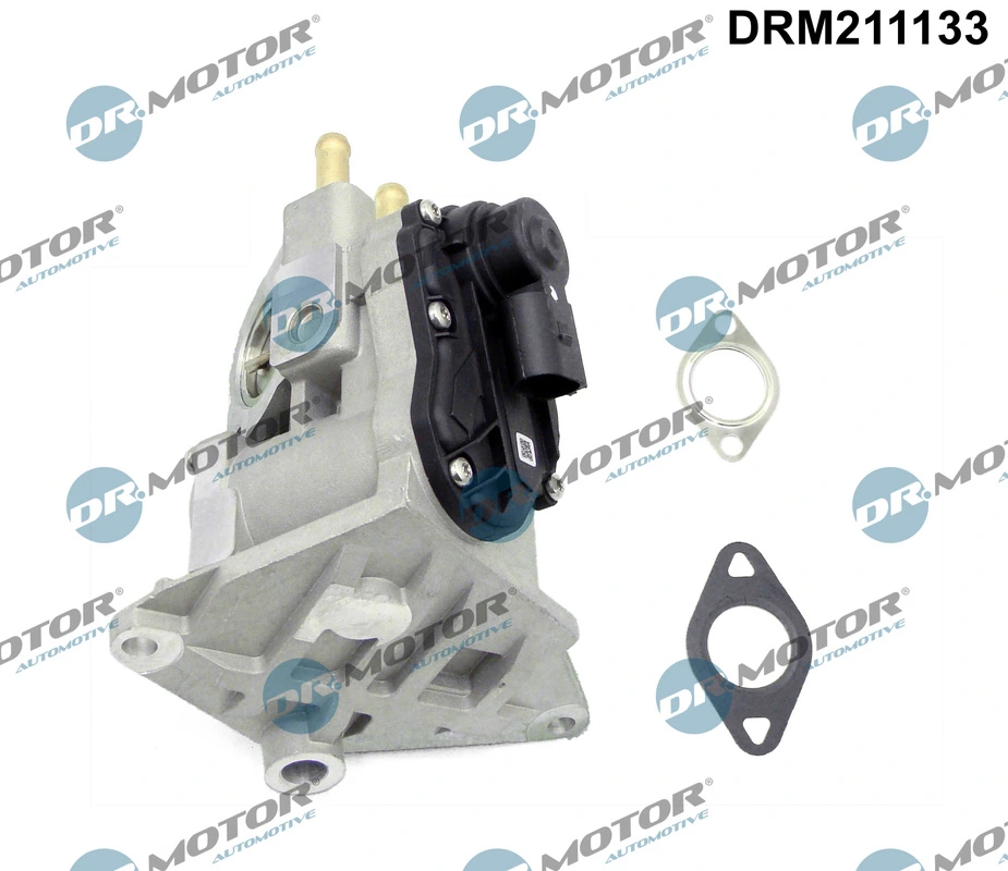 EGR Valve DRM211133