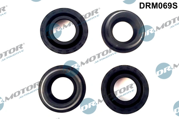Seal Ring, spark plug shaft DRM069S