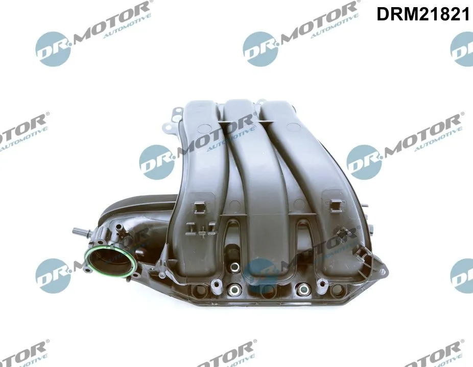 Intake Manifold Module DRM21821