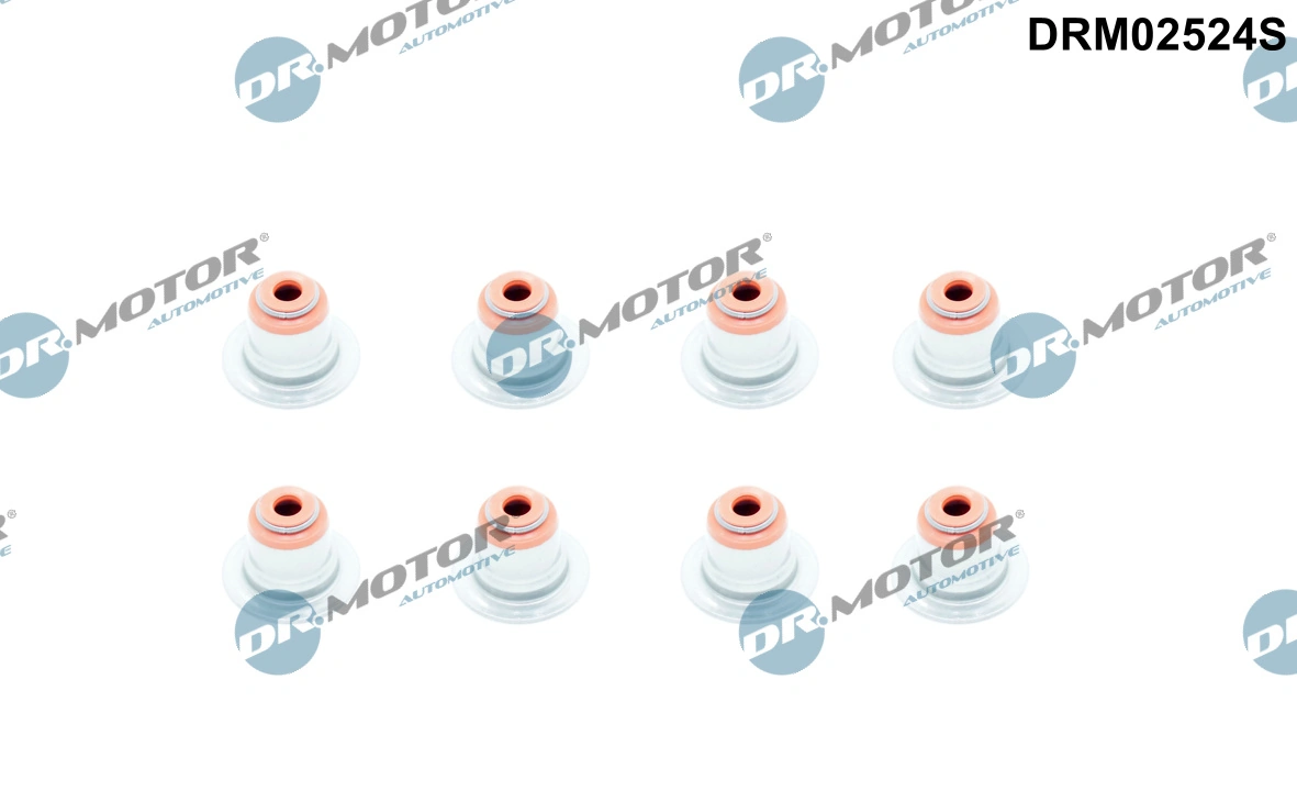 Seal Set, valve stem DRM02524S