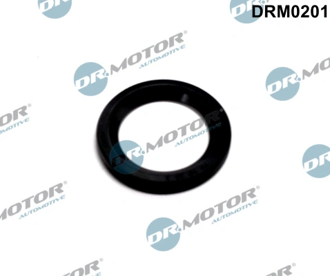 Seal Ring, injector DRM0201