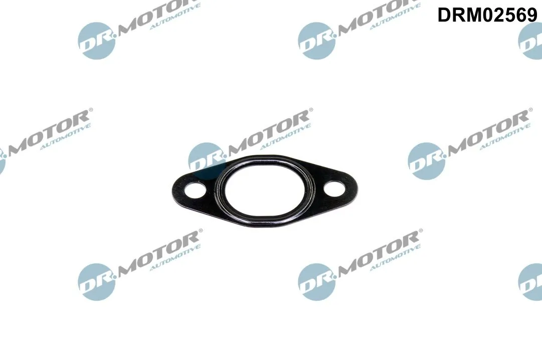 Gasket, EGR valve pipe DRM02569