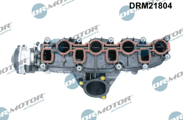 Intake Manifold Module DRM21804