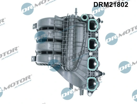 Intake Manifold Module DRM21802