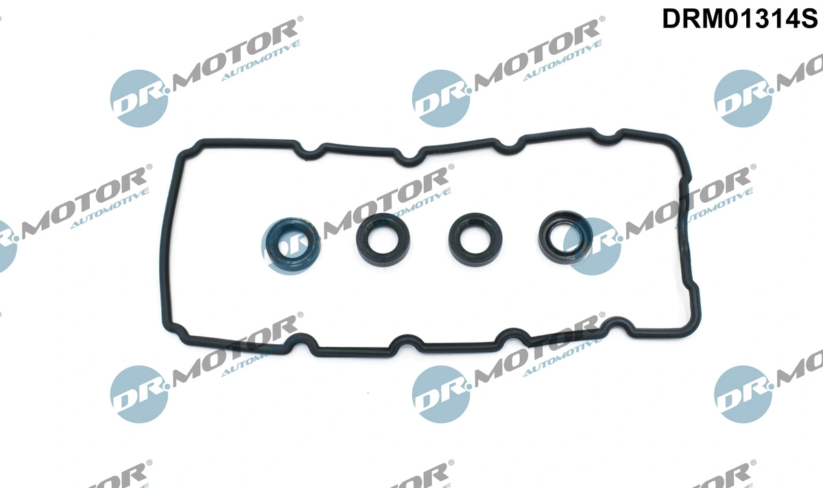 Gasket Set, cylinder head cover DRM01314S