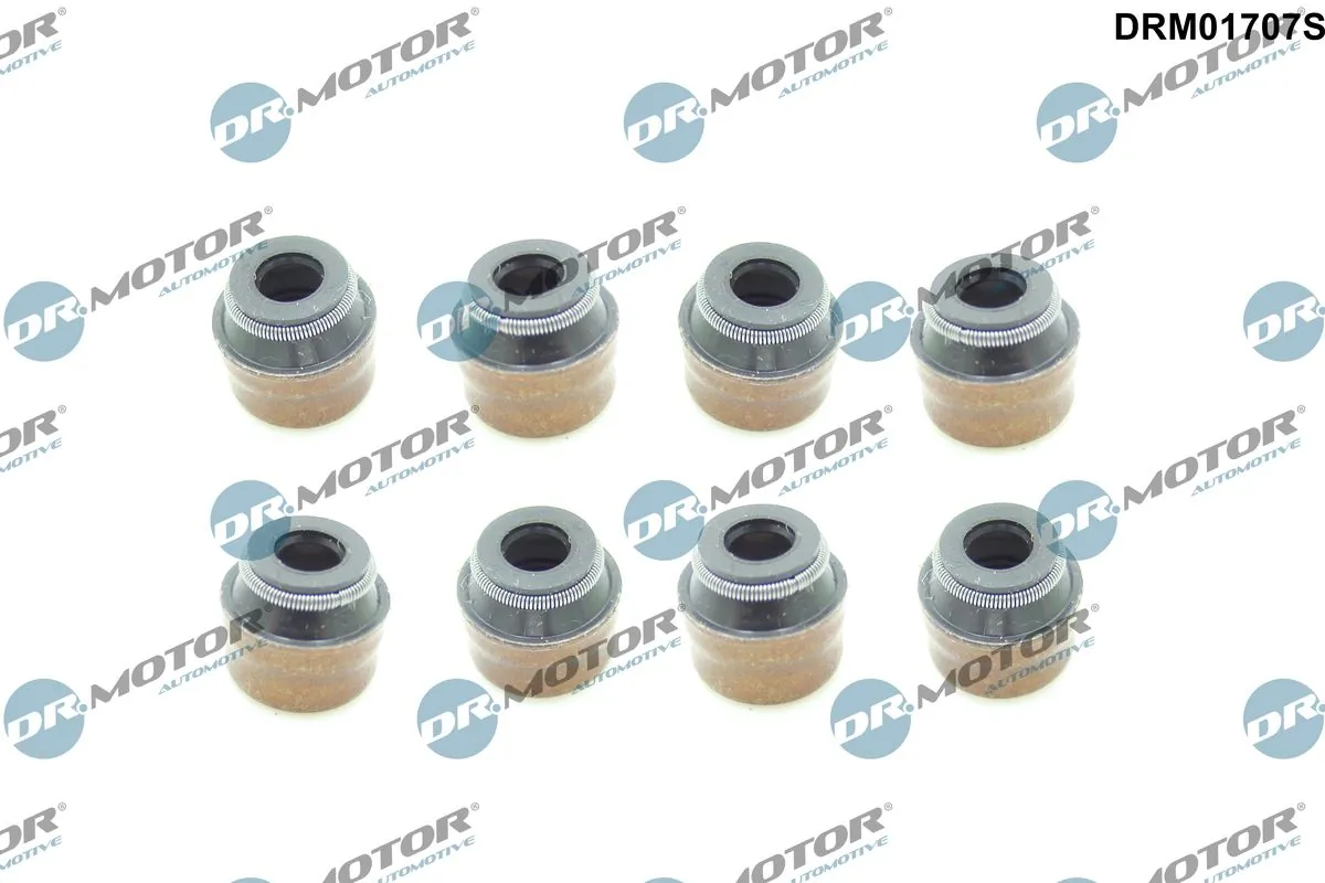 Seal Ring, valve stem DRM01707S