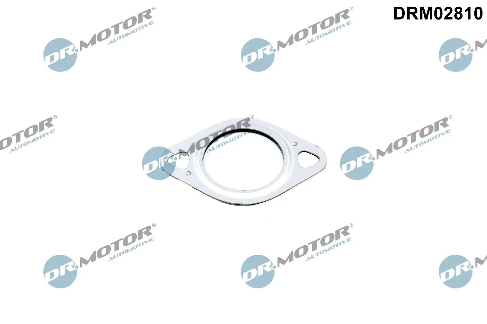 Gasket, EGR valve pipe DRM02810