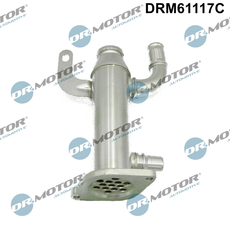 Cooler, exhaust gas recirculation DRM61117C