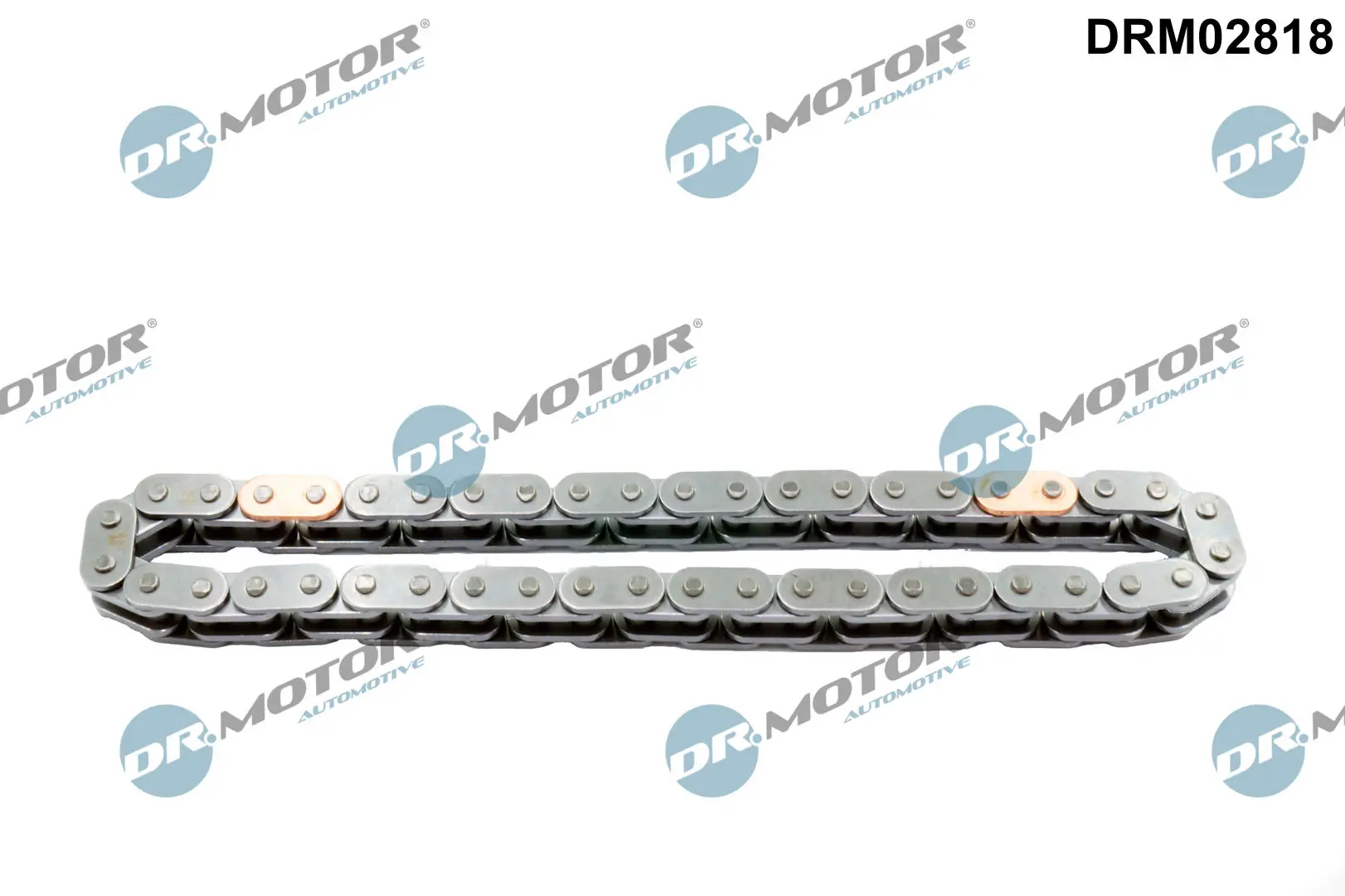 Timing Chain DRM02818