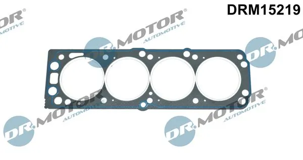 Gasket, cylinder head DRM15219