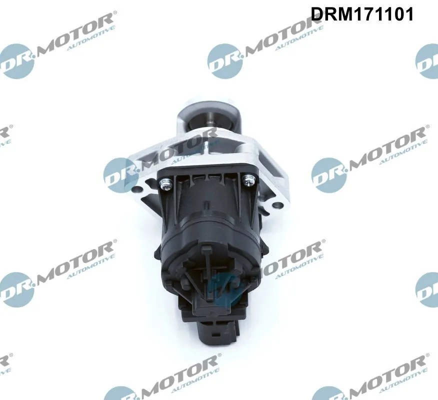 Dr.Motor Automotive DRM171101 EGR Valve
