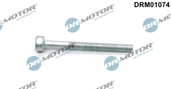 Screw, injection nozzle holder DRM01074