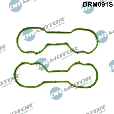 Gasket Set, intake manifold DRM091S