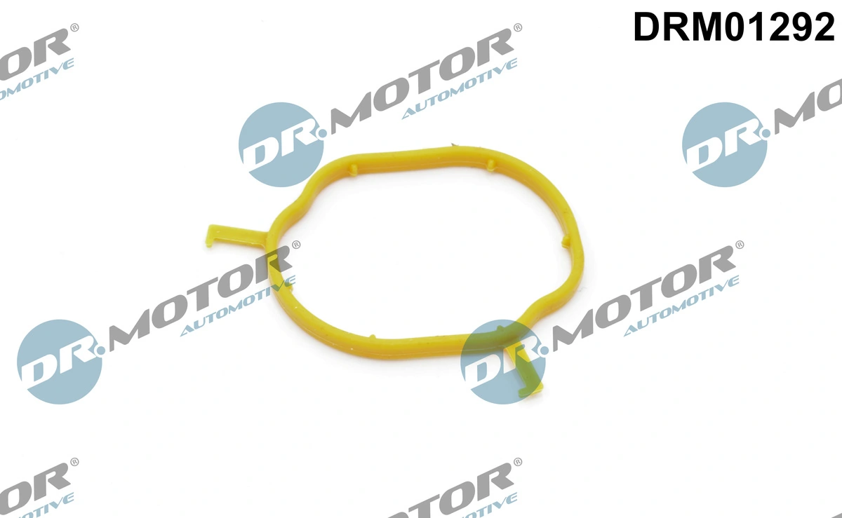 Gasket, coolant pipe DRM01292