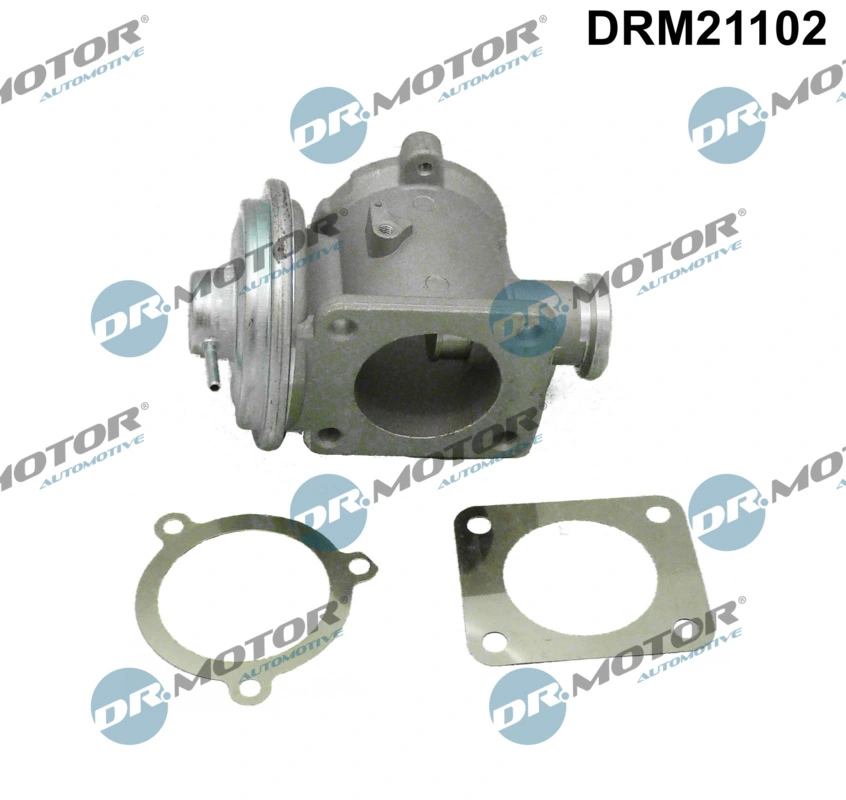 EGR Valve DRM21102