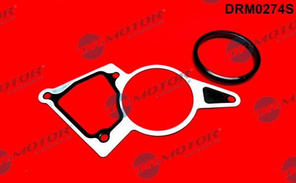 Gasket, vacuum pump DRM0274S