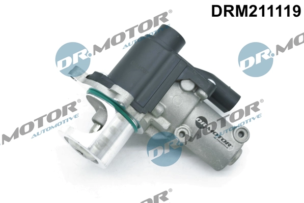 EGR Valve DRM211119