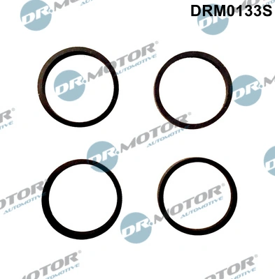 Gasket Set, intake manifold DRM0133S
