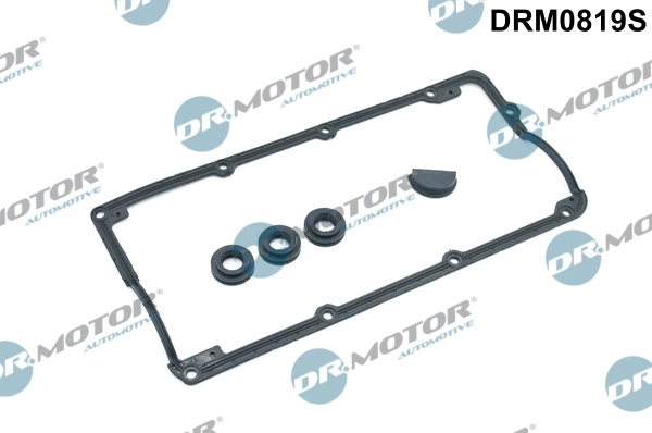 Gasket Set, cylinder head cover DRM0819S