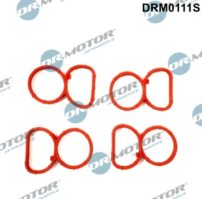 Gasket Set, intake manifold DRM0111S