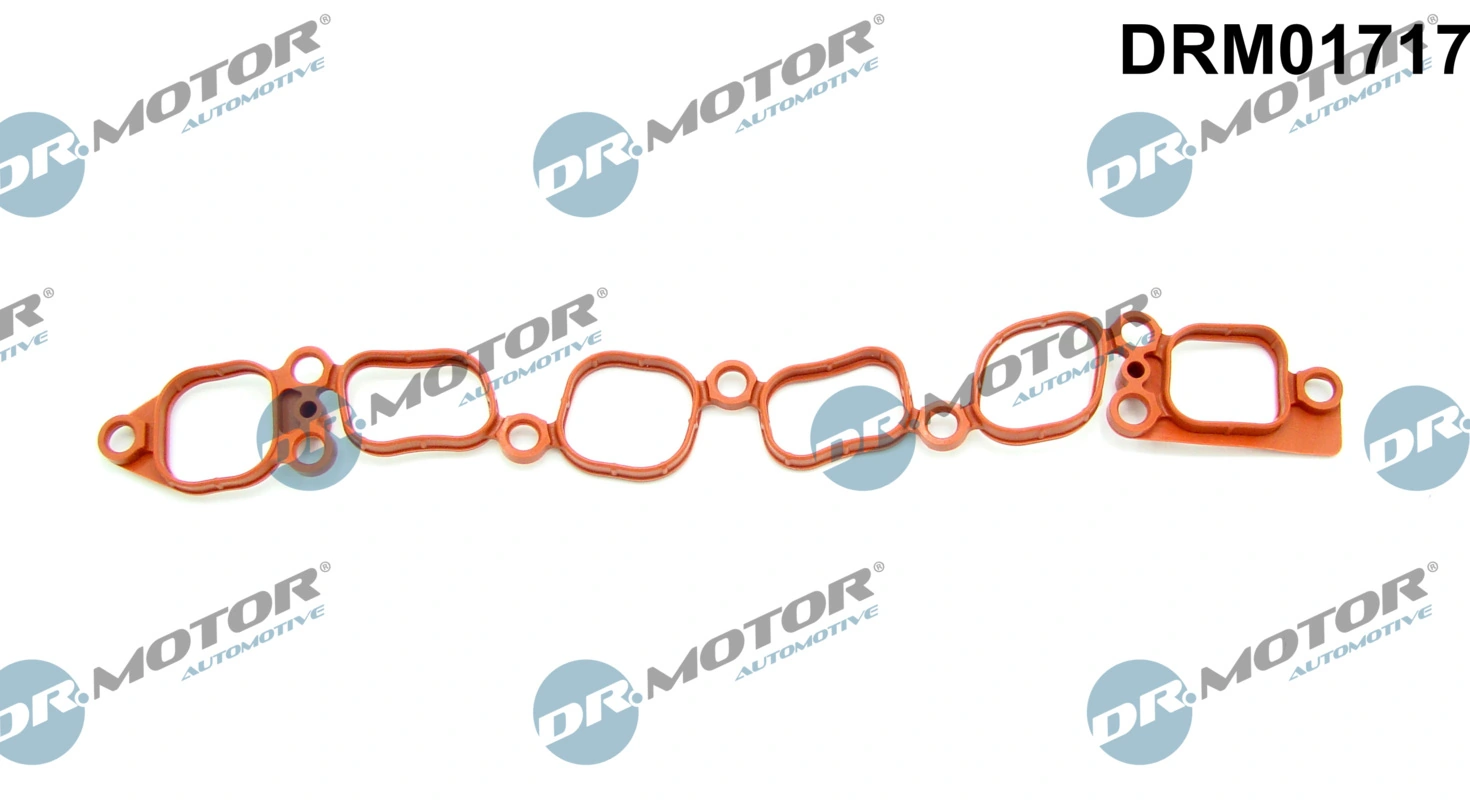 Gasket, intake manifold DRM01717