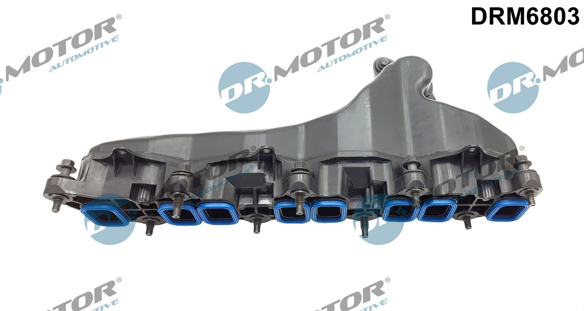 Intake Manifold Module DRM6803