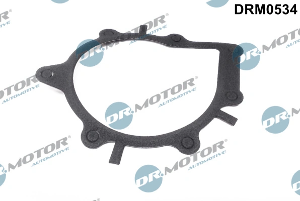 Gasket, water pump DRM0534