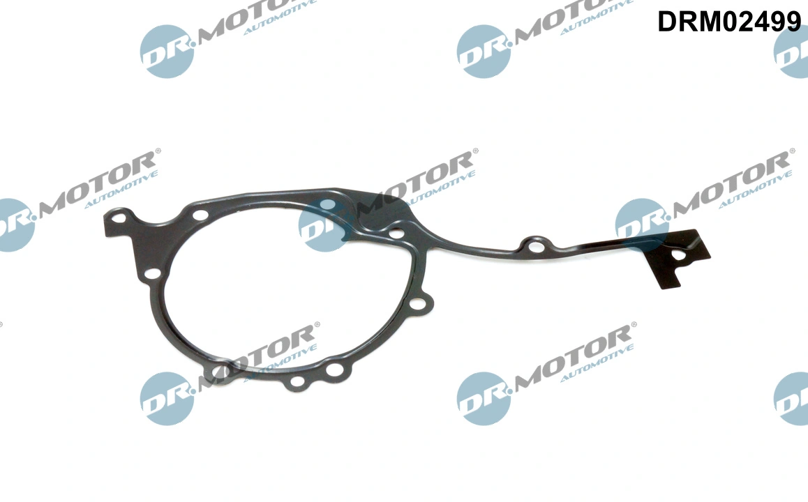 Gasket, timing case DRM02499