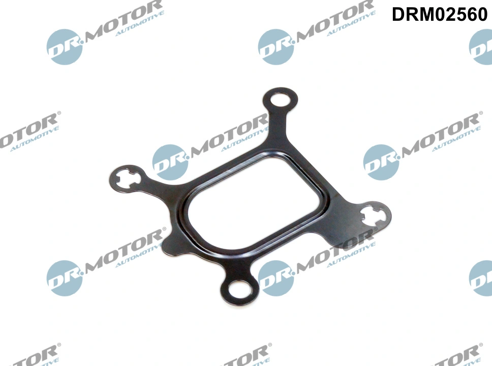 Gasket, coolant flange DRM02560