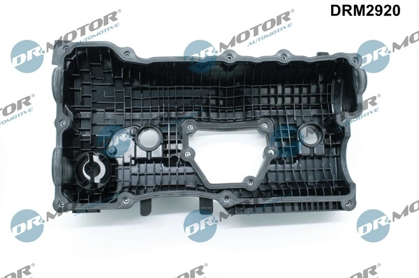 Cylinder Head Cover DRM2920
