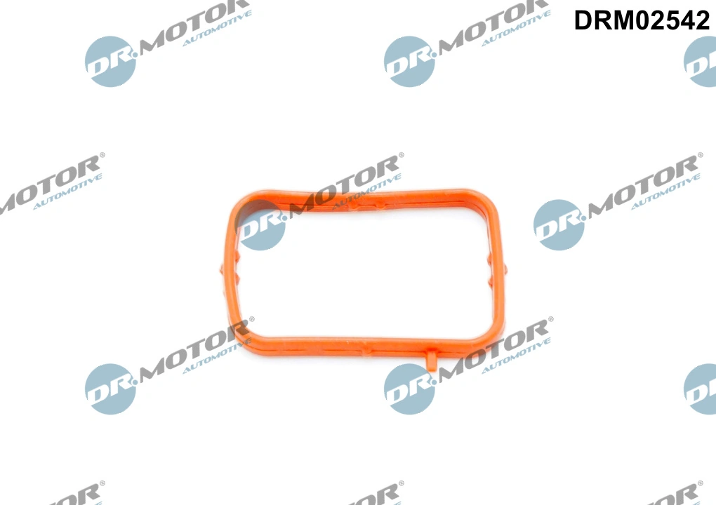 Gasket, thermostat housing DRM02542