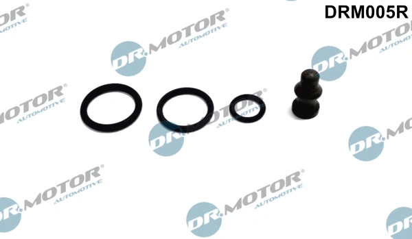 Repair Kit, unit injector DRM005R